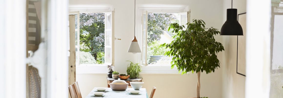 Lichtdurchflutete Küche mit grünen Pflanzen